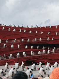 Impression Lijiang