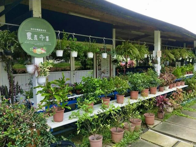 百吉步道散策及在Tina廚房～大溪店享用有機養生料理