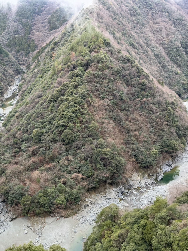 🌿 徳島の魅力的な観光スポットまとめ – 自然と歴史の息吹を感じる場所