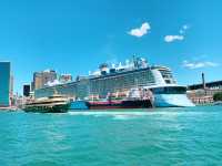 Sydney’s Iconic Voyage