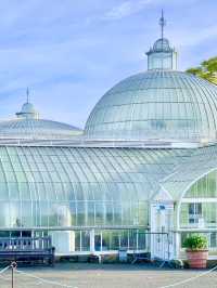Glasgow Botanic Gardens: A Lush, Free Oasis in the City