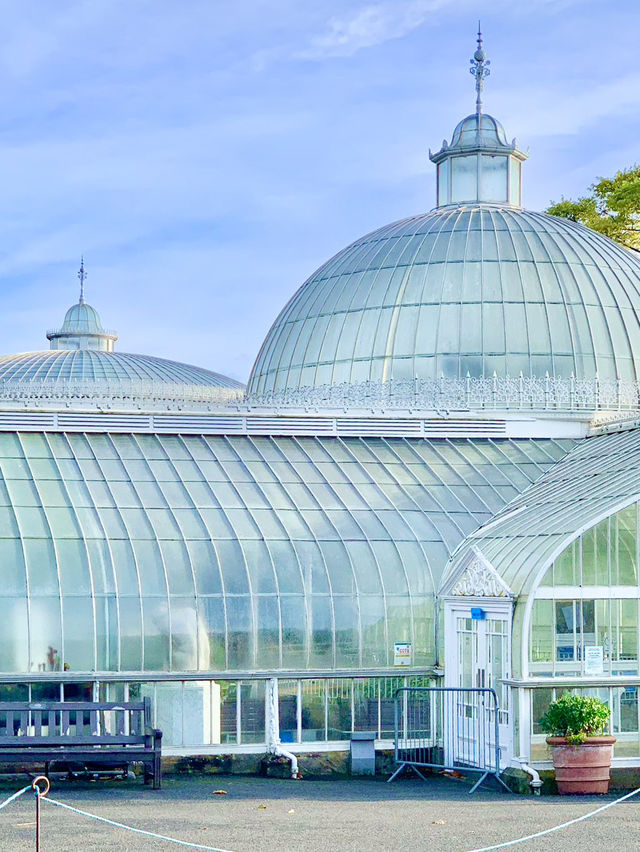 Glasgow Botanic Gardens: A Lush, Free Oasis in the City