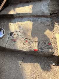 尾道｜到貓之細道小路探險 貓神社、貓咖啡像瀨戶內藝術節般的老街體驗