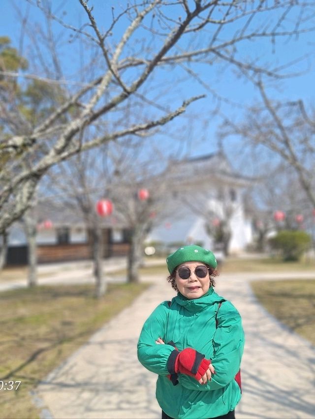 福岡大濠公園和熊本地區