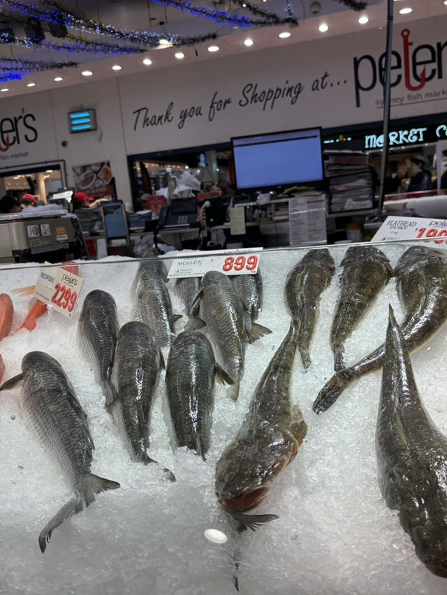 Fish market in Sydney must go!