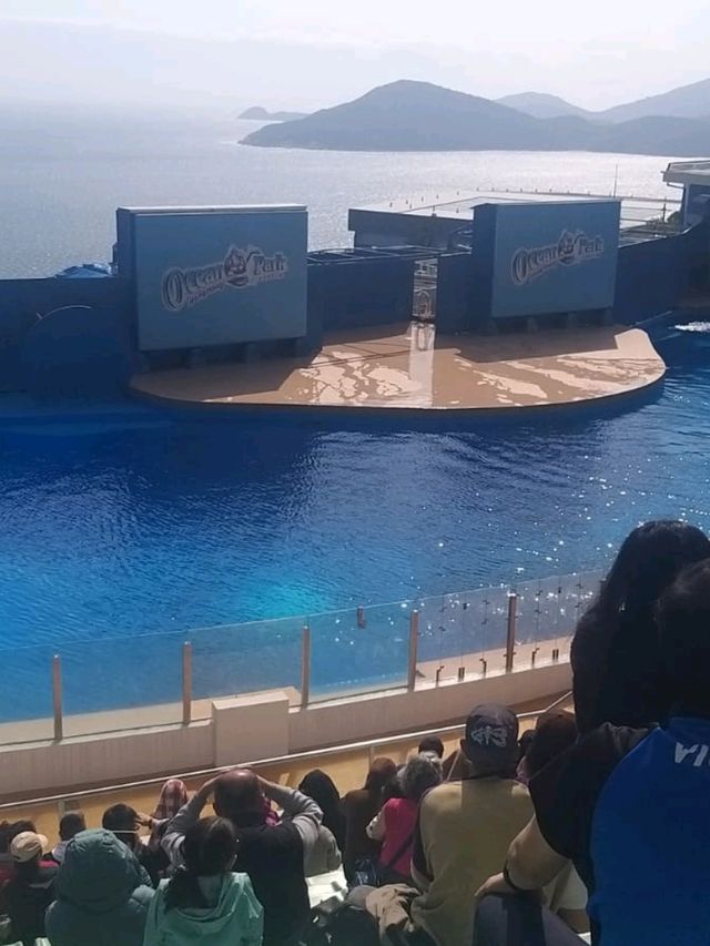 香港海洋公園。好玩，好正呀！