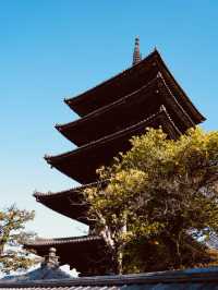 【京都×春旅】  八坂の塔と桜が撮れるスポットは大人気！