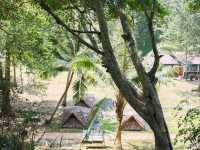 A must if in Samui: Mu Ko Ang Thong National Marine Park
