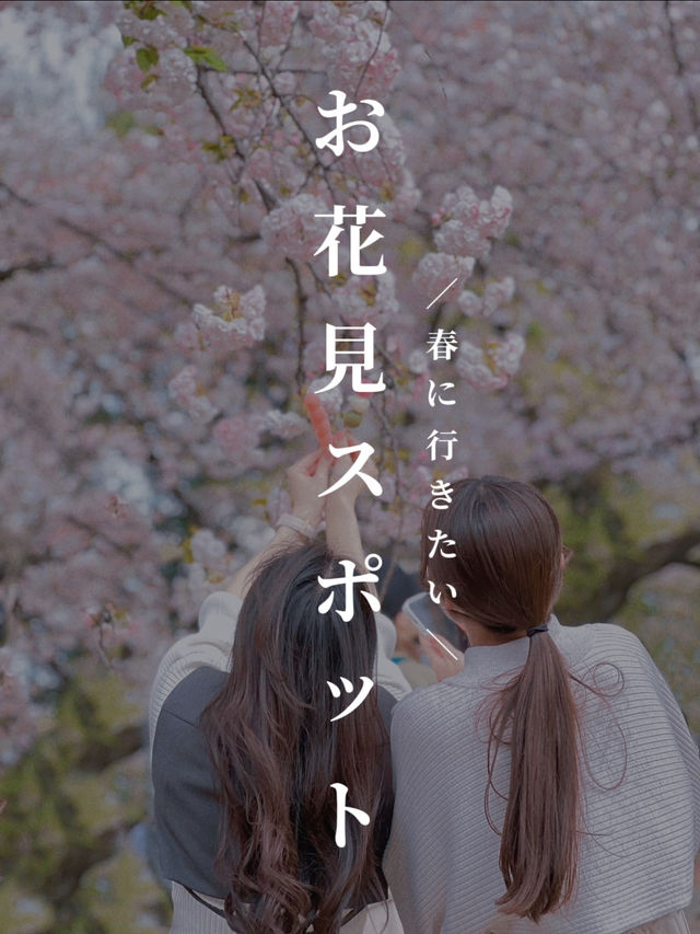 「春の東京を満喫🌸✨」都内の桜おすすめスポットまとめ
