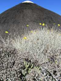 Spending spring in South Africa’s hidden gem 