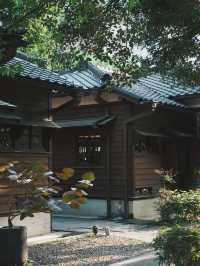 櫻花、木屋與咖啡香 走進77文藝町的慢生活