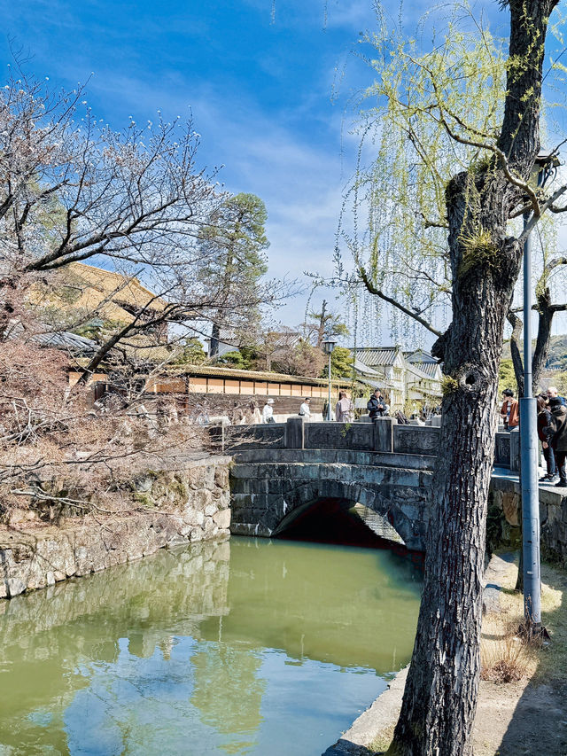 벚꽃을 보기 좋은 일본 오카야마