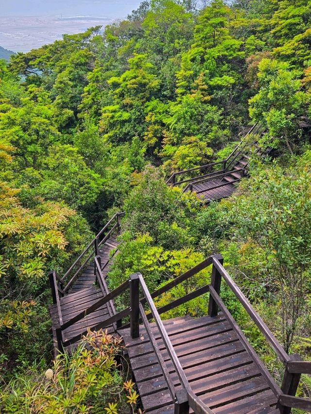 香港行山⛰️東涌站至昂坪市集