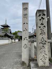【香川】歴史と文化を感じる寺院・志度寺