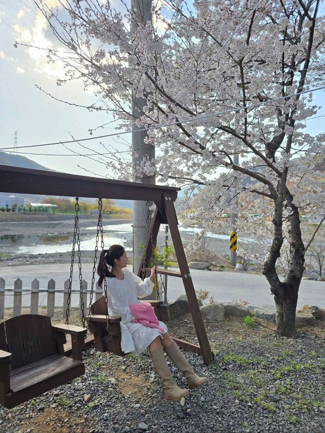 그림같은 벚꽃테라스를 즐기는 밀양카페🌸