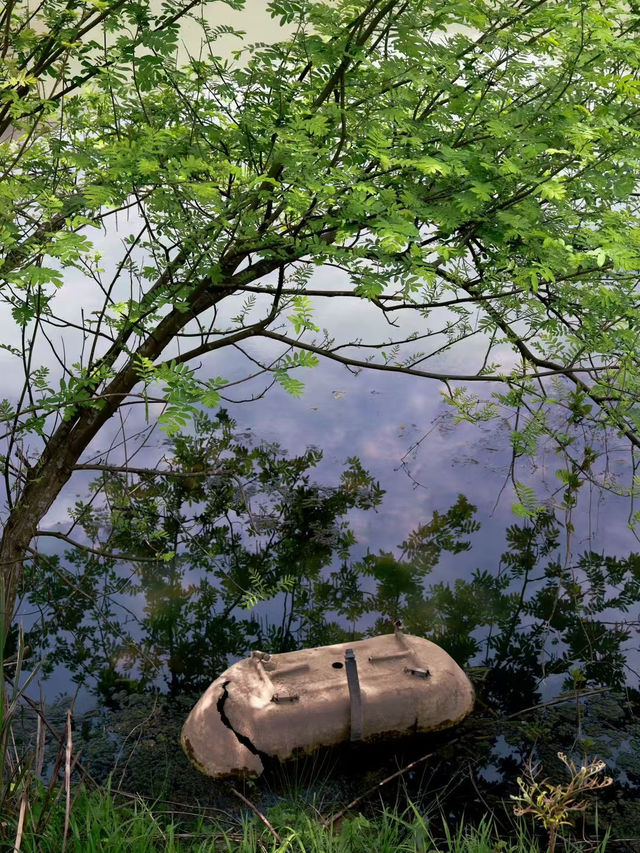 Hangzhou Xixi Wetland Park 🌳🇨🇳