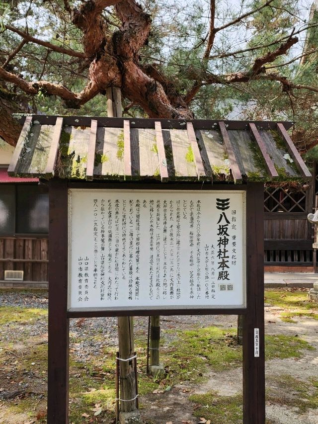 【山口グルメ】和カフェ大貫・山口の桜