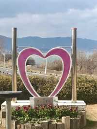 Springtime Bliss at Mizunomori Water Botanical Garden