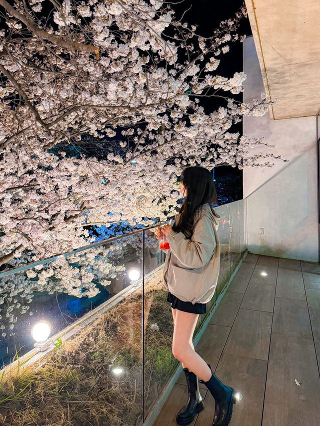 울산 여행 오셨나요? 울산역 도착하자마자 가야할 곳, 여기예요!  