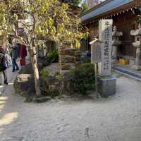 【福岡県博多🇯🇵櫛田神社】博多の総鎮守の櫛田神社へ参拝☺️