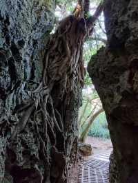 #社頂自然公園-屏東縣恆春鎮