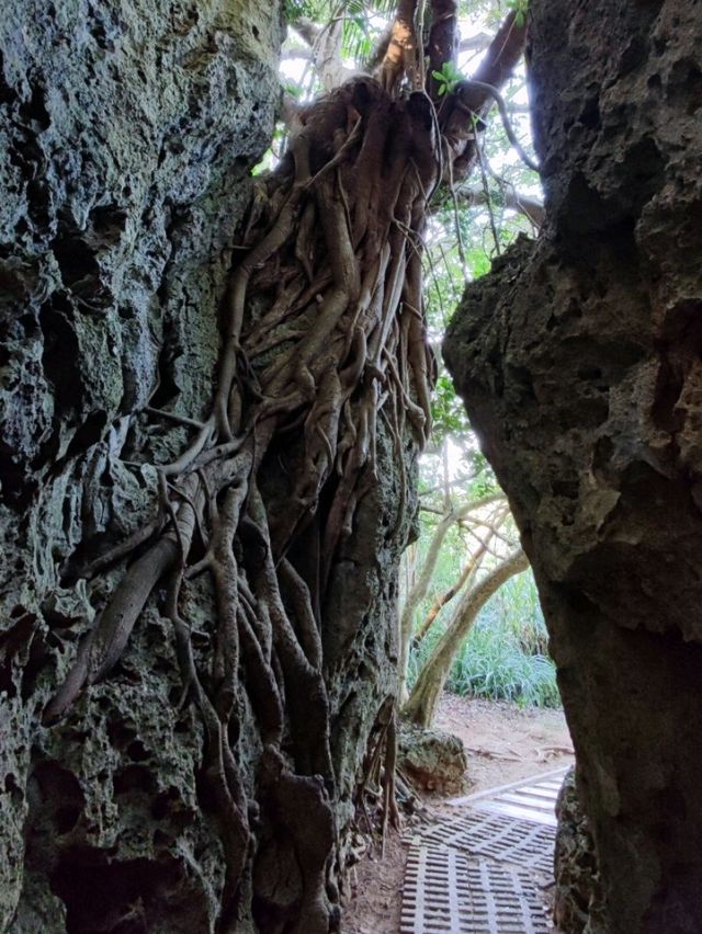 #社頂自然公園-屏東縣恆春鎮