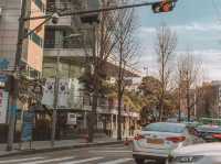 Seoul Through my Eyes