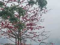 Lô Lô Chải- một góc yên bình giữa núi rừng Hà Giang