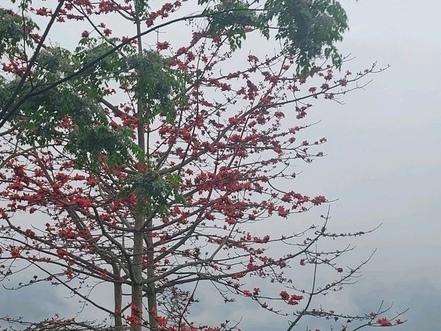 Lô Lô Chải- một góc yên bình giữa núi rừng Hà Giang