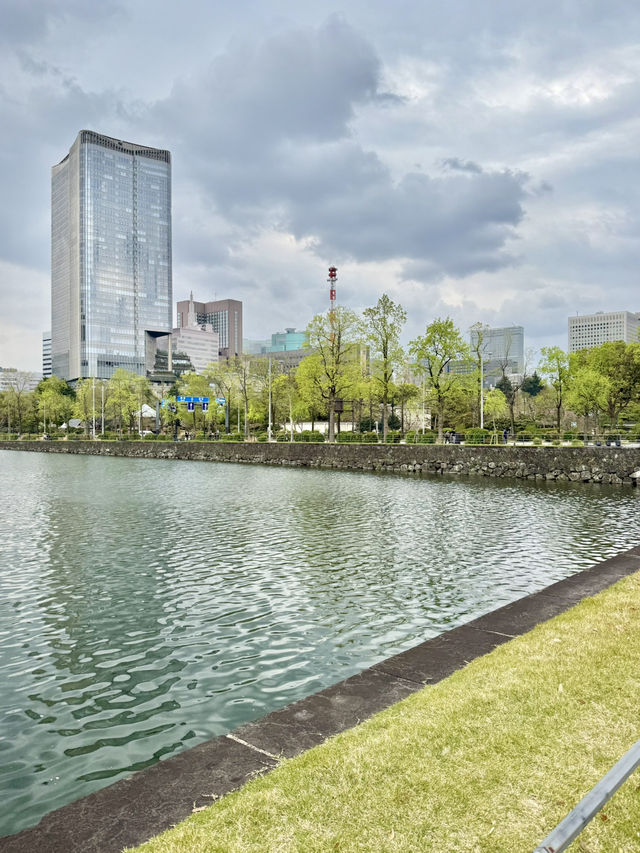 Spring Stroll at Kokyo-mae Plaza
