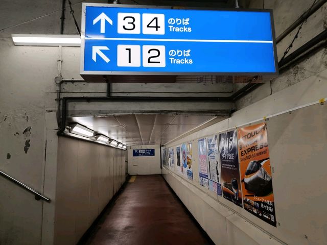 四國賞櫻之旅：多度津站