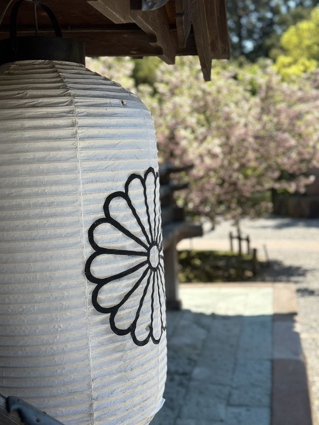 【金沢×尾山神社】 ステンドグラスの個性的な神門 八重桜が素晴らしい