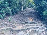 Hiking in Sai Kung Sharp Island