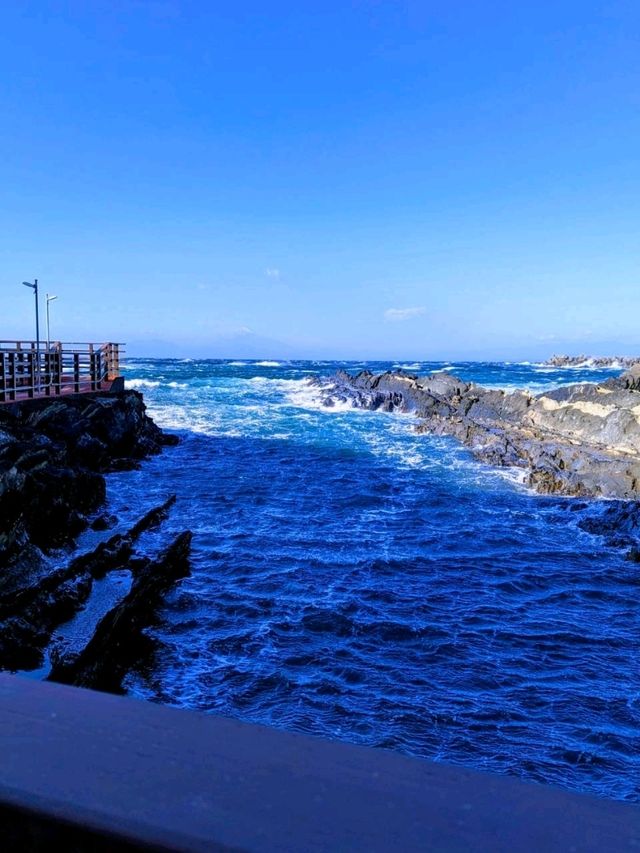 城ヶ島で景色や地層を体験