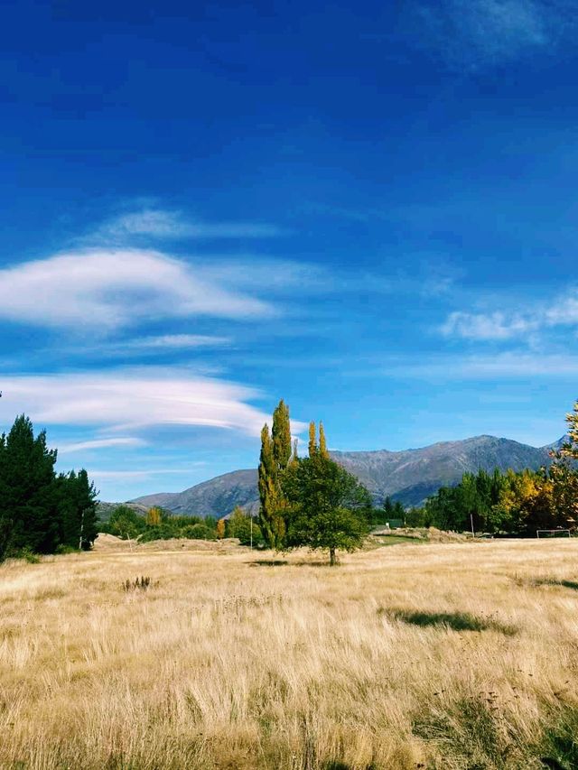 新西蘭著名旅遊小鎮箭鎮旅行攻略，適合打卡拍照📸