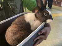 Borneo Happy Farm Date