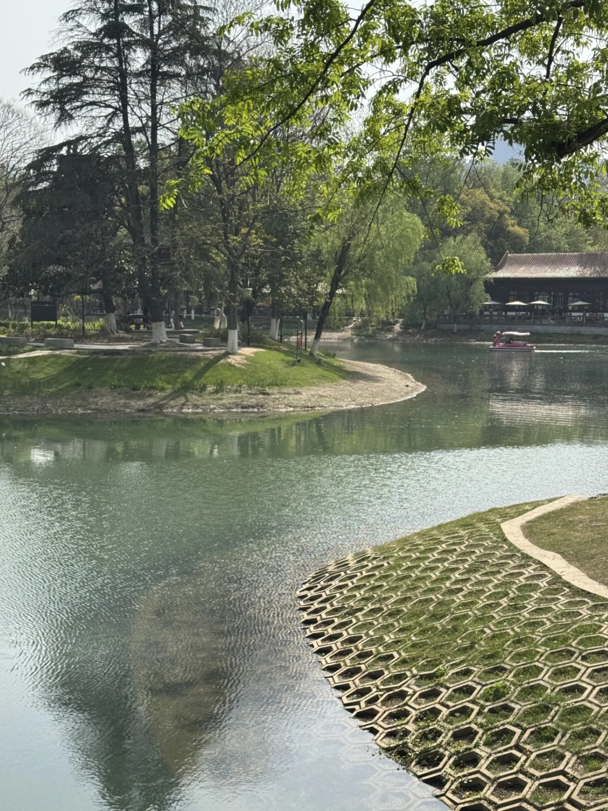 #發現中國
說真的，這個公園應有盡有——自然、歷史、夢幻般的拍照機會，而且完全免費！

公園資訊
營業時間：上午 6:00 至晚上 10:00
門票：免費入場
地點：武漢解放公園

如何前往
地鐵：8號線黃埔路站H出口，直達1號門
公車：724 路 / 805 路 / 543 路 至“解放公園站”
開車：2 號門附近有停車位 - 週末人潮較多，請早點來！

五大值得探索的景點：
2025 鬱金香盛開（2 號門入口）
粉紅色、白色和黃色鬱金香的柔和波浪——絕對神奇！
提示：帶上鏡子或梯子，以便從上方拍攝沒有人群的創意照片。
中國著名寶塔花園
微型標誌性塔樓+迷人的古老庭院
穿上漢服，你看起來就像剛剛穿越時空！
鴿子廣場
最佳時間：陽光明媚的下午 2 點至 3 點，觀賞鴿子飛翔的精彩時刻
吃點東西，實現你的鄉村小屋夢想
湖畔划船
提供槳船或電動船－滑過水中倒映的櫻花
蘇聯空軍烈士紀念碑
莊嚴的紅色主題歷史遺址，非常適合歷史愛好者或教育參觀
#自然奇觀 #旅行