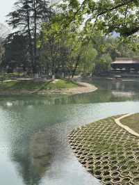 Wuhan Hidden Gem: Jiefang Park — I'd Go Every Day If I Lived Nearby!