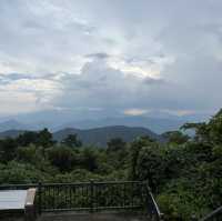 【高尾山】⛰️ 人気のお山