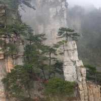 Zhangjiajie National Forest Park: A Natural Masterpiece