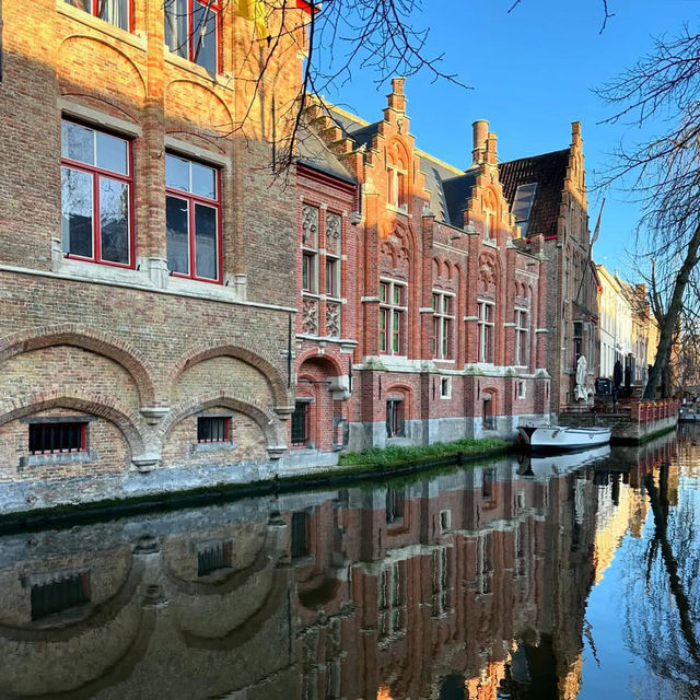 🚣♀️ Bruges: Where Canals Sparkle, Chocolate Rules & I Almost Became a Swan’s Snack 🦢