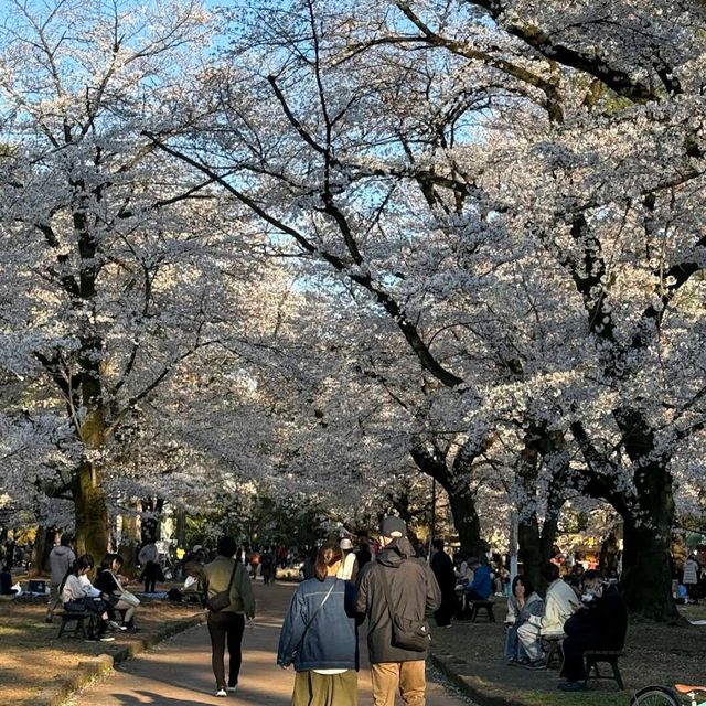 Omiya Park, Saitama