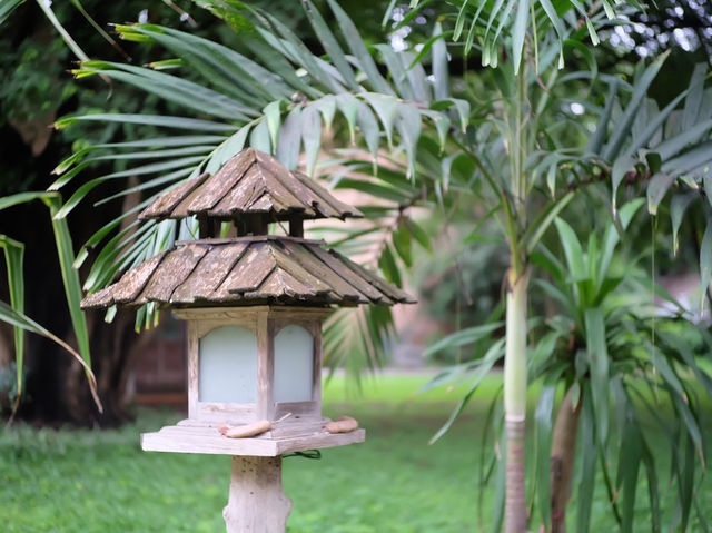เก๊าไม้ล้านนารีสอร์ท ที่สุดของโรงแรมใกล้ชิดธรรมชาติ