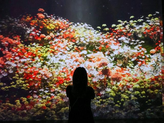 파주 미디어아트 보러 헤이뮤지엄