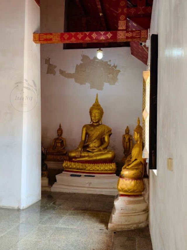 💞 วัดป่าโมกวรวิหาร