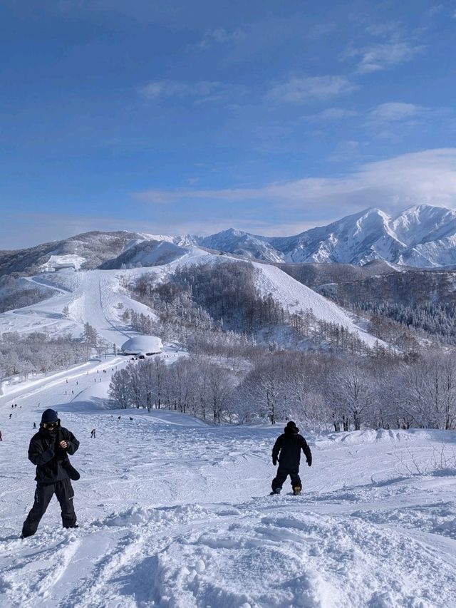 🇯🇵東京から新幹線でスノボ行ってみた🏂️