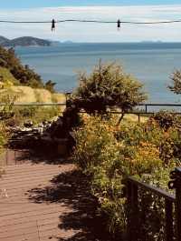 Namhae German Village in Spring: A Taste of Europe in Full Bloom  