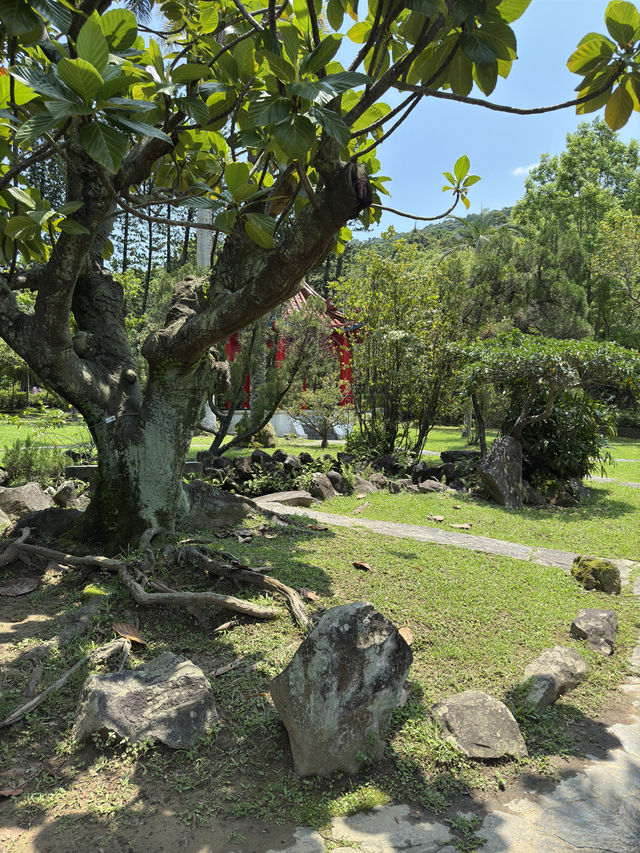 台北｜士林官邸公園｜歷史與自然的靜謐之地