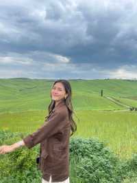 สัมผัสทุ่งหญ้าเขียวที่ ทัสคานี (Tuscany)