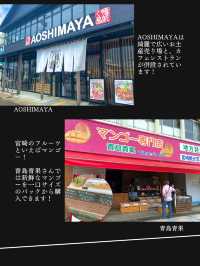 【神社ジャングル海まるごとパワースポットの島】青島